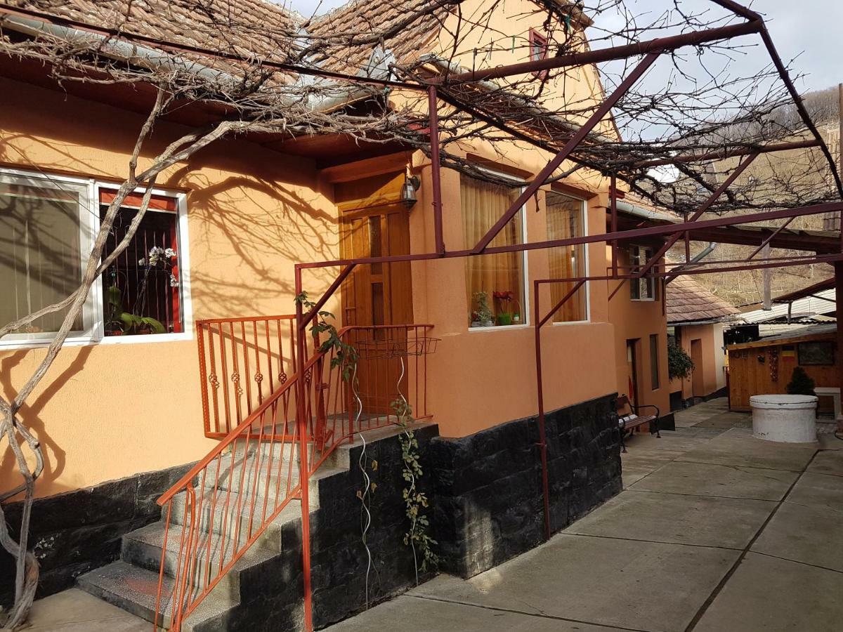 Casa De Oaspeti Morii 22 Malancrav Exterior photo